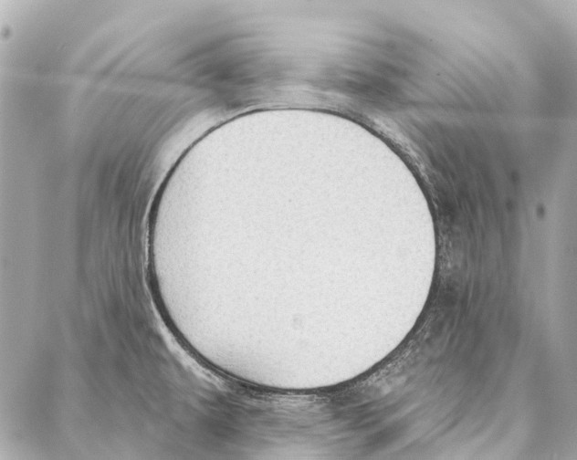 X0000086981479200705141703