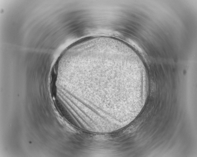 X0000086981480200705141703