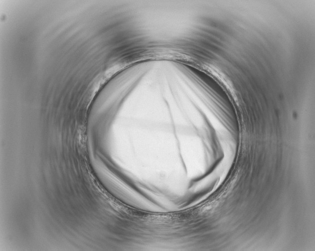 X0000086981481200705141703