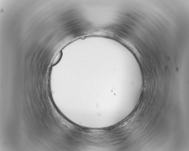 X0000086981483200705141703