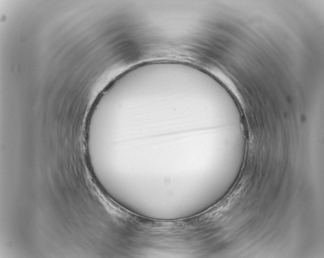 X0000086981485200705141703