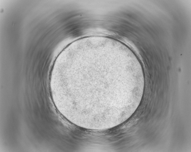 X0000086981488200705141703