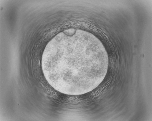 X0000086981489200705141702