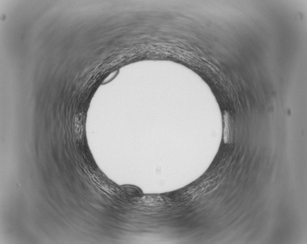 X0000086981491200705141702