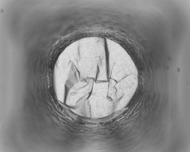 X0000086981493200705141702