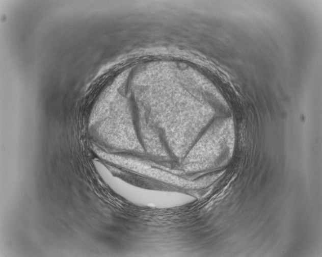 X0000086981494200705141702