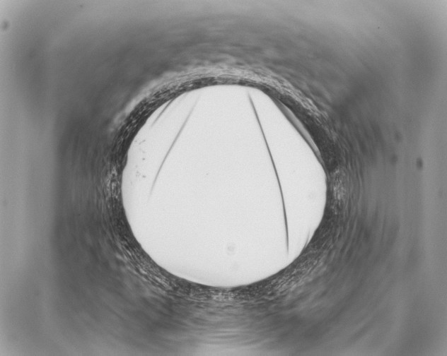 X0000086981495200705141702