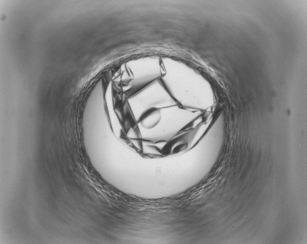 X0000086981496200705141702