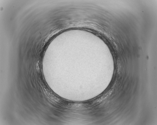 X0000086981497200705141703