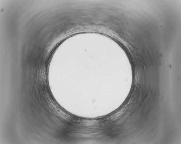 X0000086981498200705141703