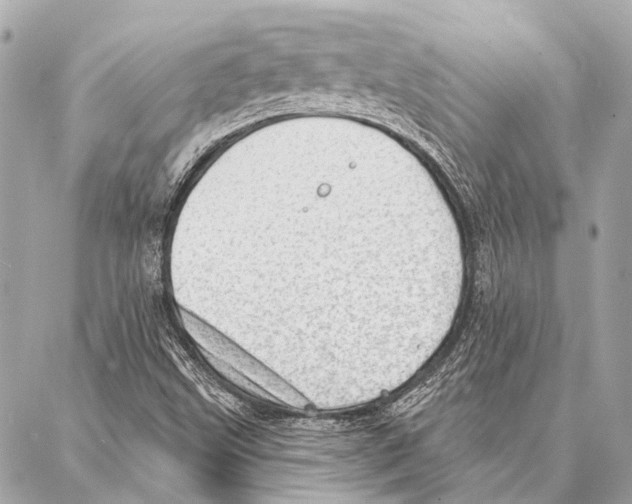 X0000086981499200705141703