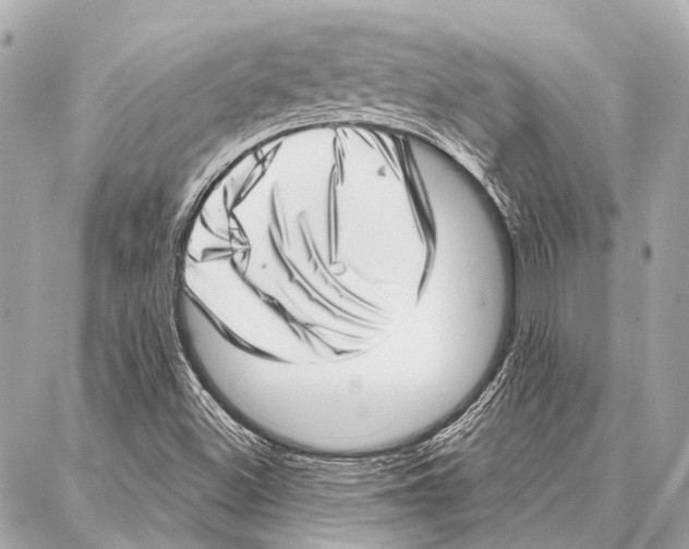 X0000086981500200705141703