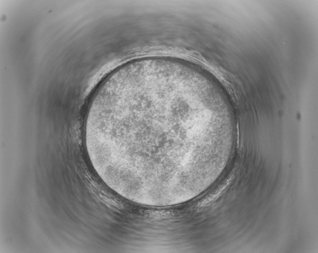 X0000086981501200705141703