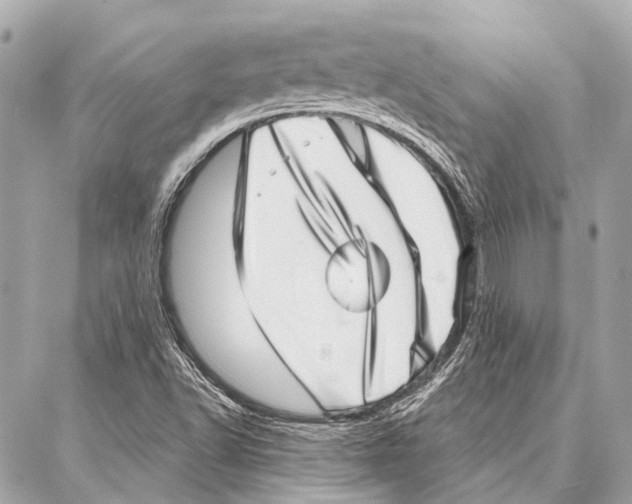 X0000086981502200705141703