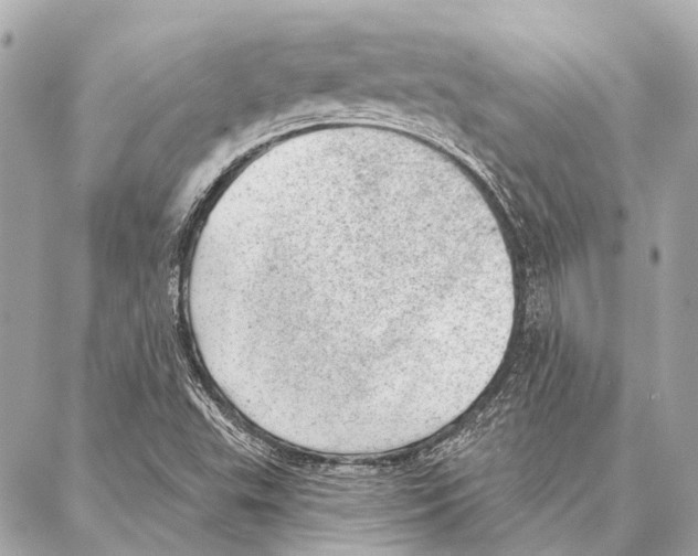 X0000086981503200705141703