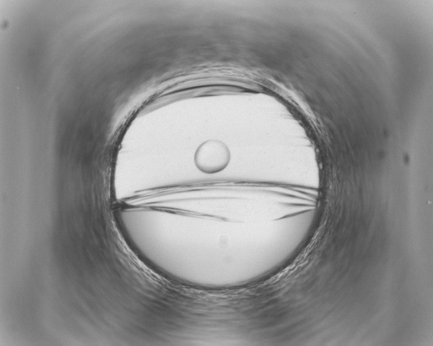 X0000086981504200705141703