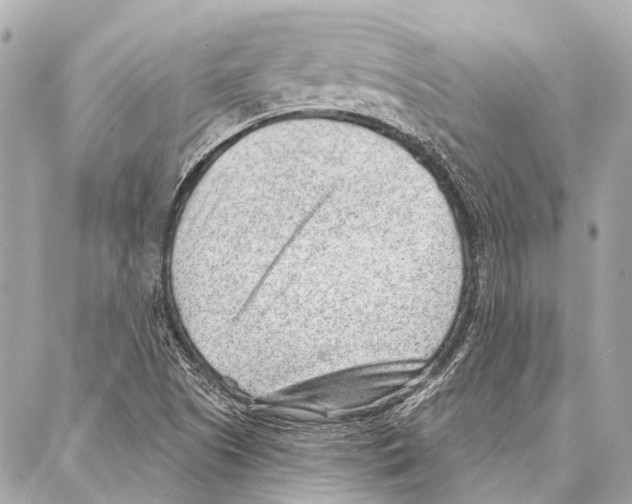 X0000086981505200705141703