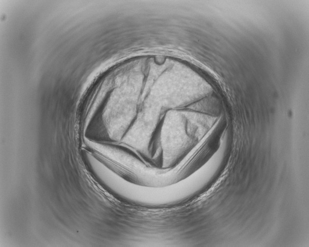 X0000086981506200705141703