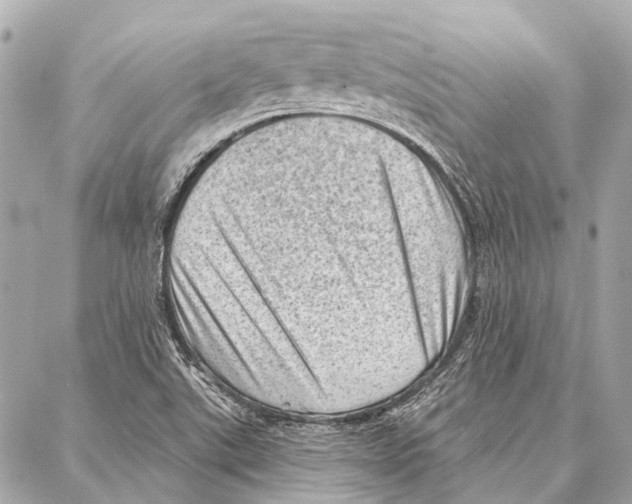 X0000086981507200705141703