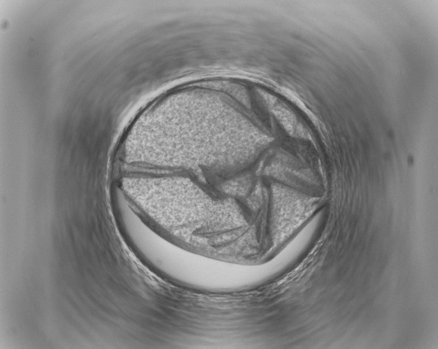 X0000086981508200705141703