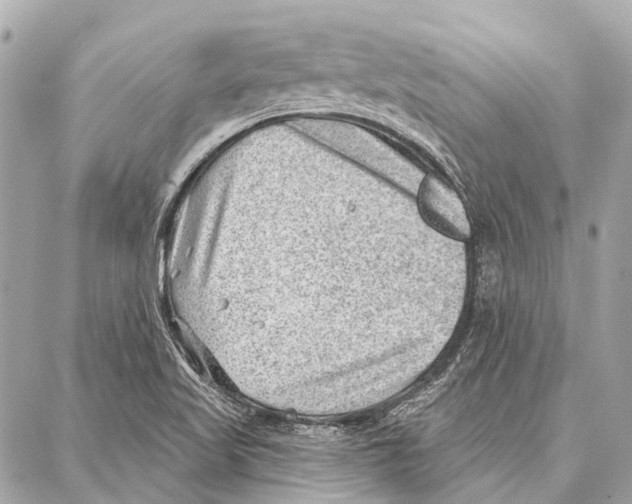 X0000086981509200705141703