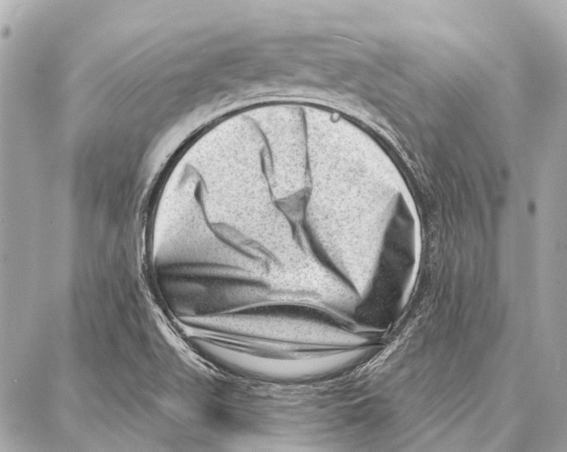 X0000086981511200705141703