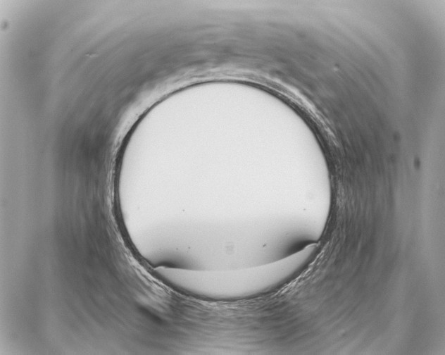 X0000086981512200705141703