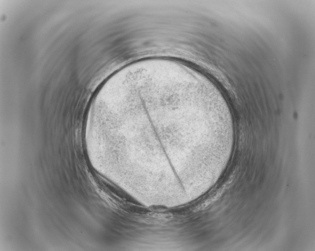 X0000086981513200705141703