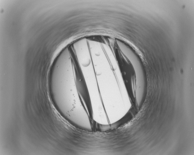 X0000086981514200705141703