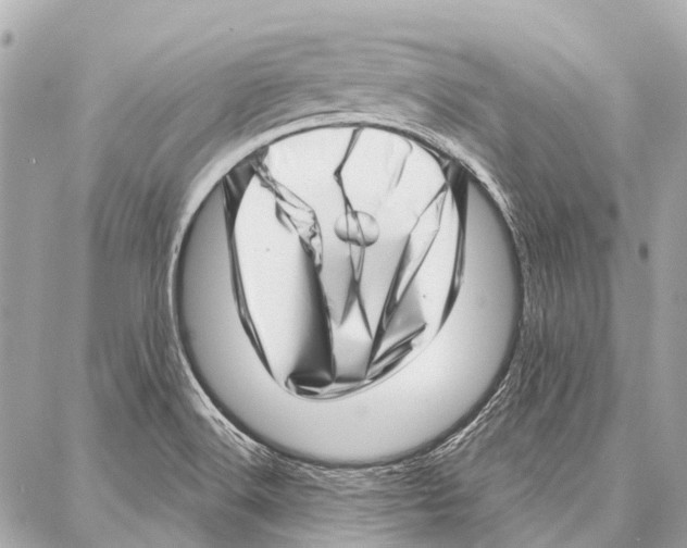 X0000086981516200705141703