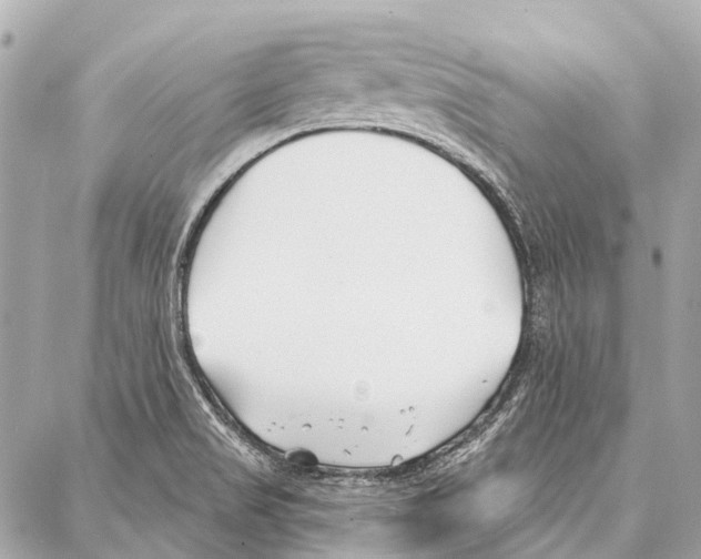 X0000086981517200705141703