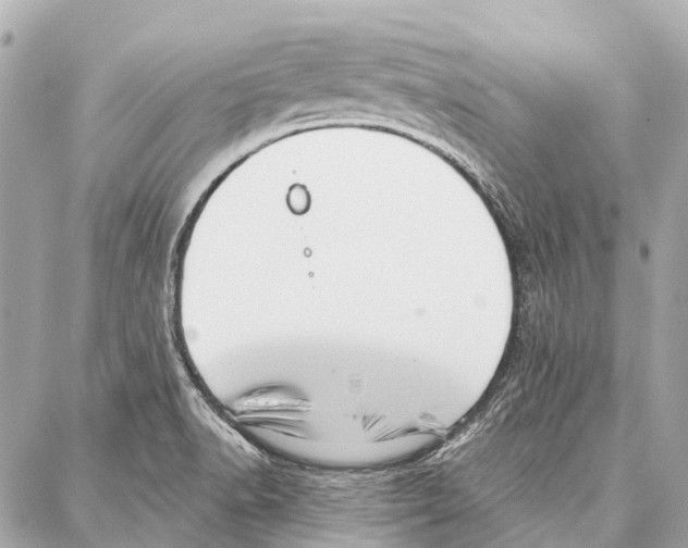 X0000086981518200705141703