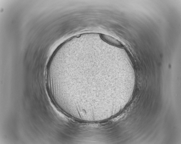 X0000086981519200705141703