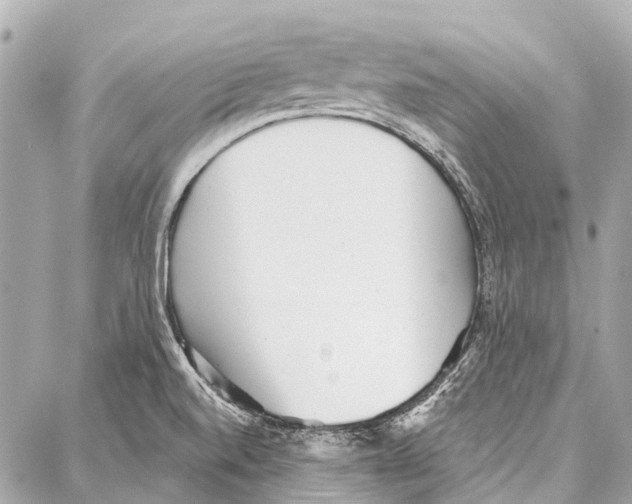 X0000086981520200705141703