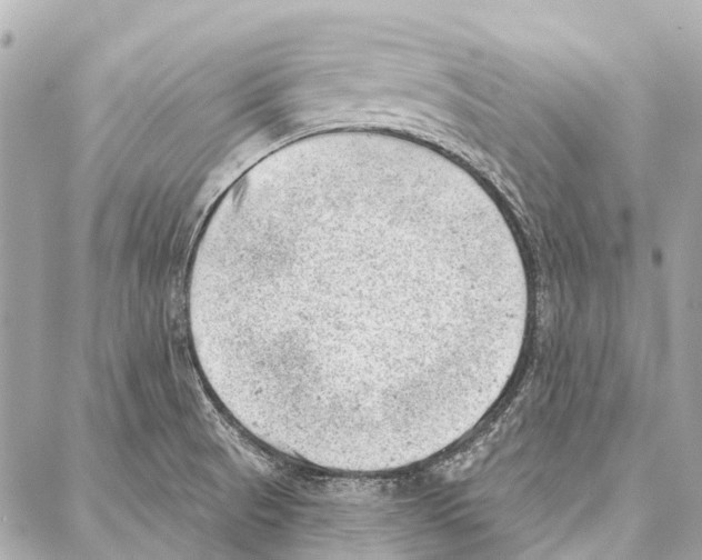 X0000086981521200705141703