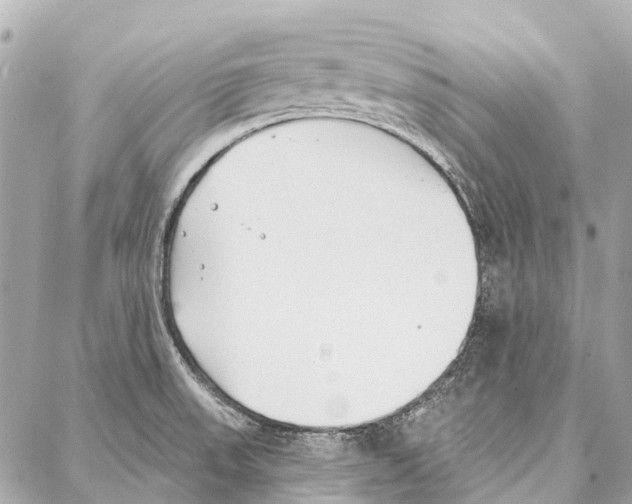 X0000086981523200705141703