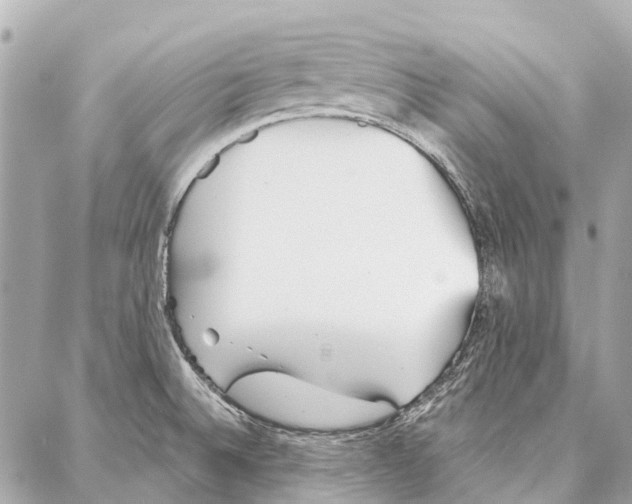 X0000086981524200705141703