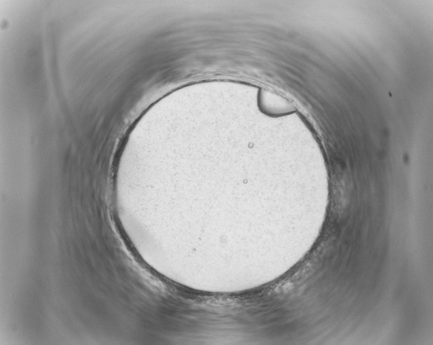 X0000086981525200705141703