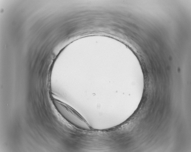 X0000086981526200705141703