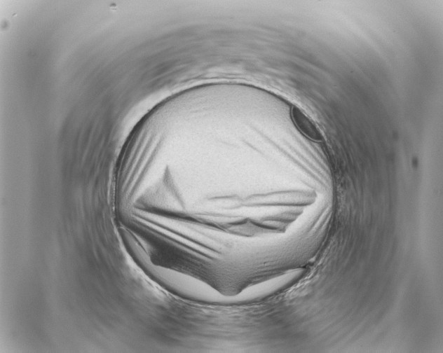 X0000086981527200705141703