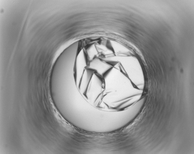 X0000086981530200705141703