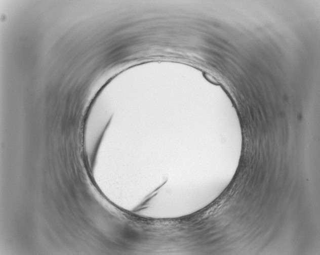 X0000086981531200705141703