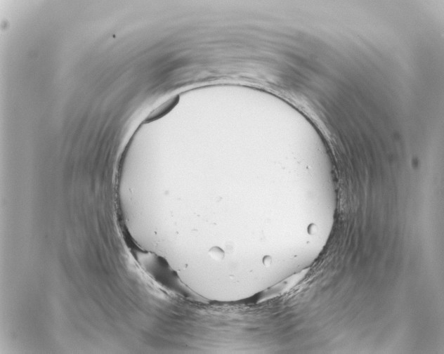 X0000086981532200705141703