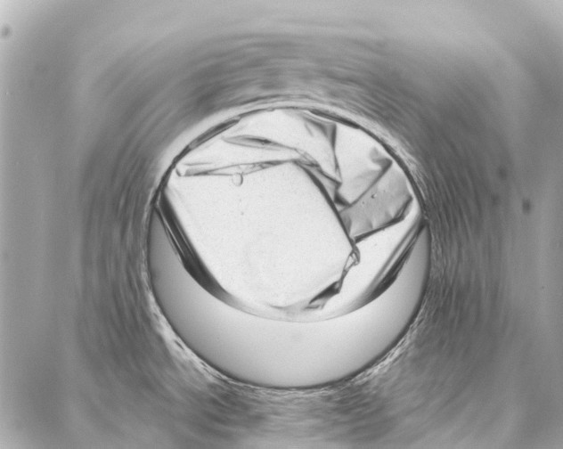 X0000086981534200705141703