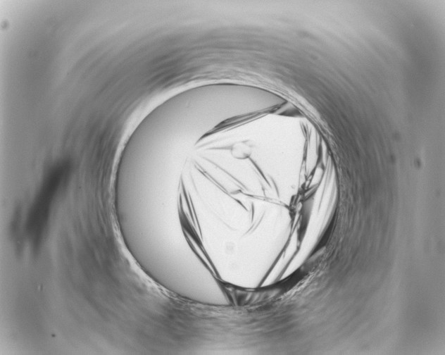 X0000086981536200705141703