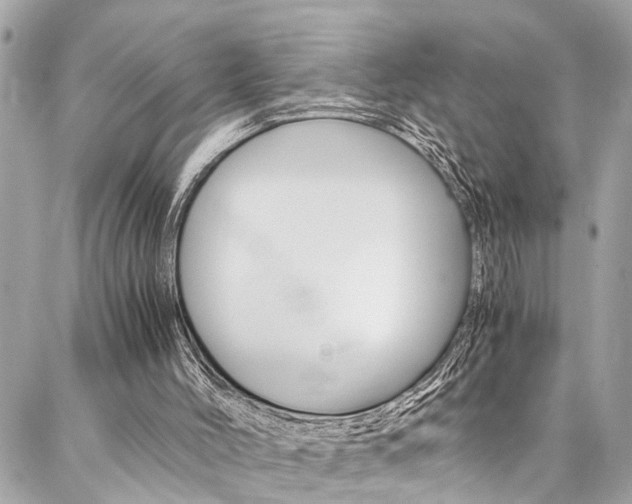 X0000086990004200704161205