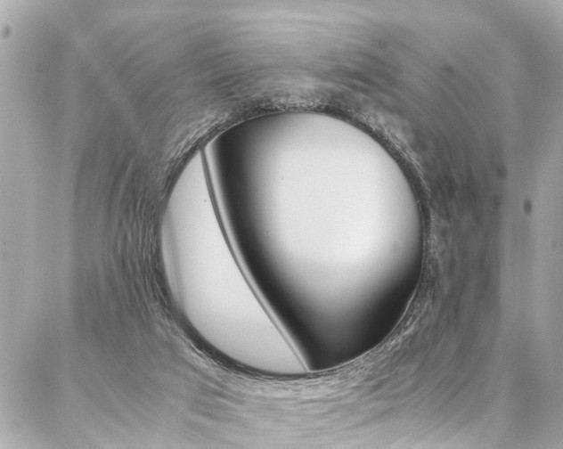 X0000086990017200704161205