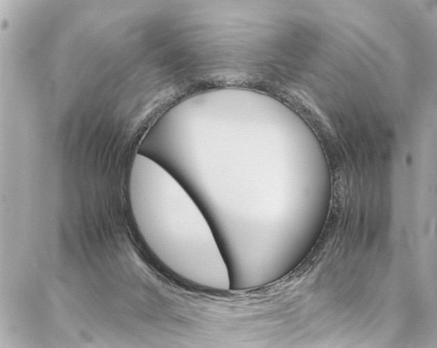 X0000086990024200704161205