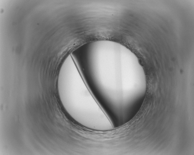 X0000086990027200704161205