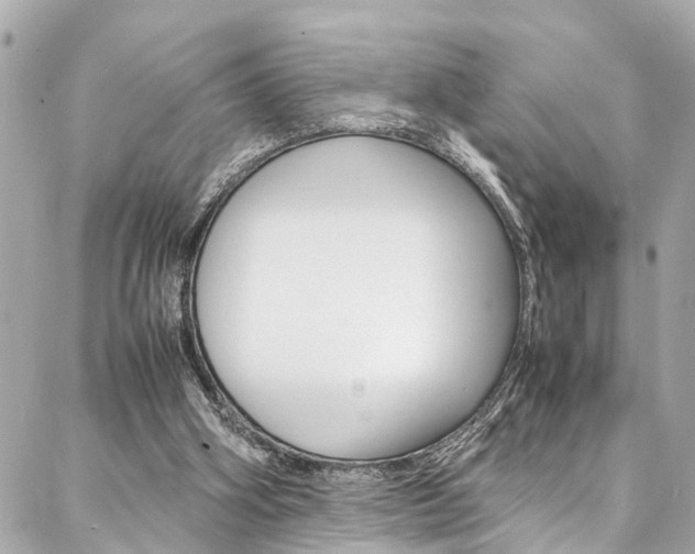 X0000086990106200704161203